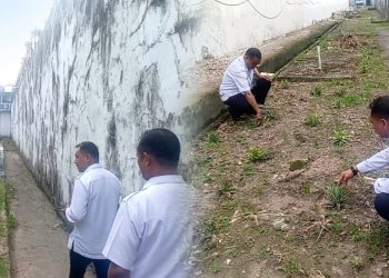 Karutan Ambon Tinjau Lahan Tanam, Dorong Warga Binaan Berkontribusi pada Ketahanan Pangan