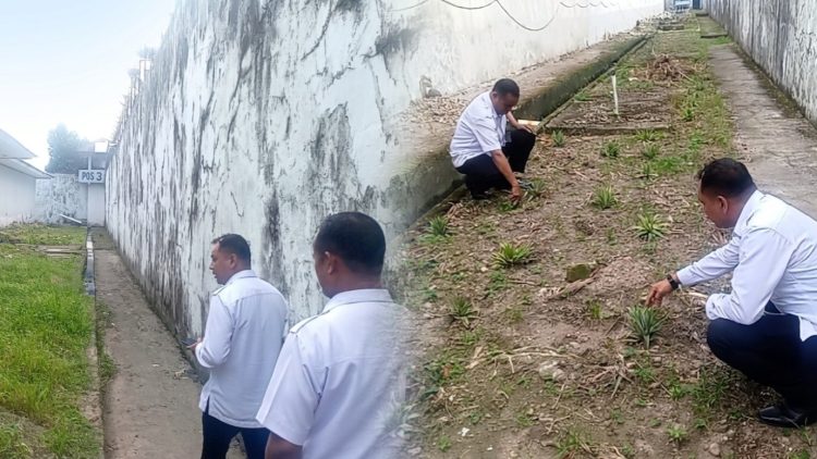 Karutan Ambon Tinjau Lahan Tanam, Dorong Warga Binaan Berkontribusi pada Ketahanan Pangan