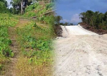 Desakan ke Kejati Maluku, AMATI Minta Bupati Aru Timotius Kaidel Jadi Tersangka Kasus Jalan Wokam