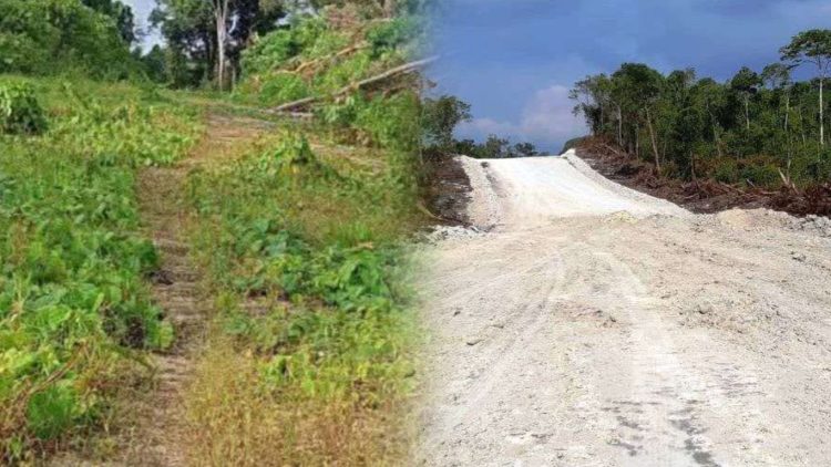Desakan ke Kejati Maluku, AMATI Minta Bupati Aru Timotius Kaidel Jadi Tersangka Kasus Jalan Wokam