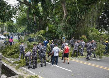 80 Pohon Rawan Tumbang Dipangkas di Jl. Piere Tendean Ambon, TNI AL Turun Tangan: “Ini Demi Keselamatan Warga”