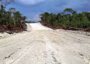 Skandal Jalan Wokam Rp36,7 M: Pegawai BPDM Aru Diperiksa, Proyek Amburadul Terancam Total Loss