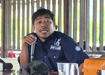 Ketua TP-PKK SBB Disorot, Kader PAN: Jangan Digiring Opini, Lihat Secara Objektif!