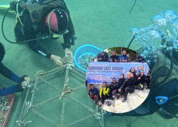 Hampir Rusak, Kini Diselamatkan: Aksi Harmoni Laut Hidupkan Lagi Surga Bawah Laut Laha
