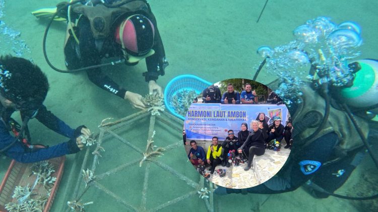 Hampir Rusak, Kini Diselamatkan: Aksi Harmoni Laut Hidupkan Lagi Surga Bawah Laut Laha