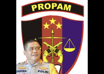 Propam Akan Selidiki Pembebasan 4 Terduga Narkoba di Ambon, Kasusnya Disorot Karena Janggal