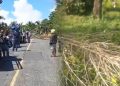 Tanaman Cengkih Ditebang OTK, Warga Seriholo Blokir Jalan
