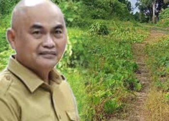 AMATI: Ini Peran Bupati Aru Timotius Kaidel Dalam Dugaan Korupsi Proyek Jalan Lingkar Wokam