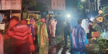 Pohon Tumbang Timpa Kenderaan di Ambon, 3 Orang Terluka