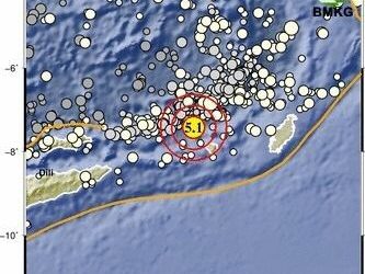 Pagi ini Gempa Magnitudo 5,1 Guncang Wilayah Maluku Barat Daya