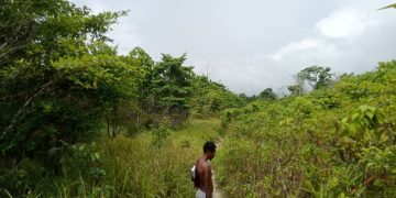 Nama Bupati Aru Timotius Kaidel Disorot Jaksa dalam Kasus Jalan Wokam Rp36,7 Miliar