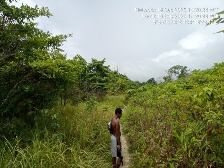 Nama Bupati Aru Timotius Kaidel Disorot Jaksa dalam Kasus Jalan Wokam Rp36,7 Miliar