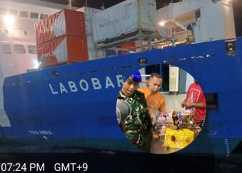 Satgas Kodaeral IX Gagalkan Penyelundupan Nuri dan Tanduk Rusa di Pelabuhan Ambon